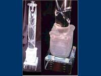 kathyjaffetrophy_small